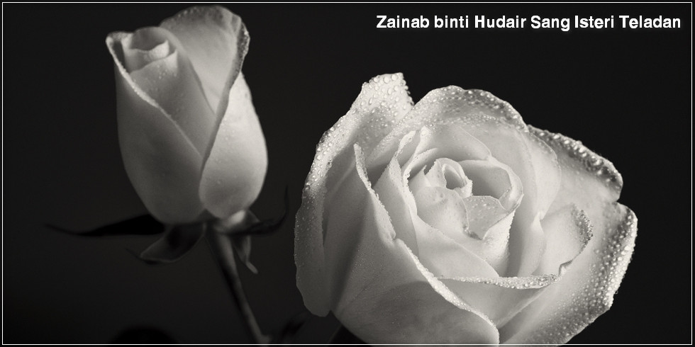 Zainab binti Hudair Sang Isteri Teladan